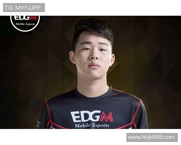 王者荣耀深度解析LNG战队运营策略与成功秘诀实时新闻